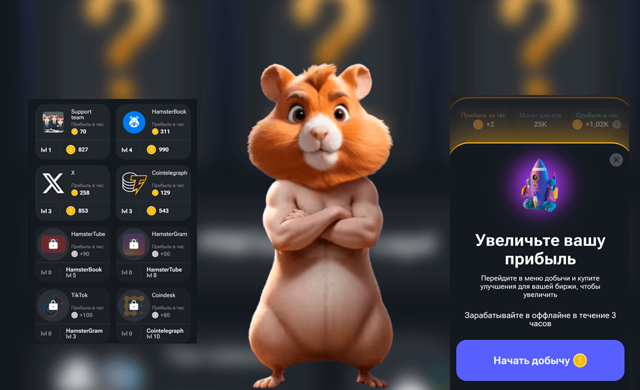 Как вывести с hamster kombat выводить деньги